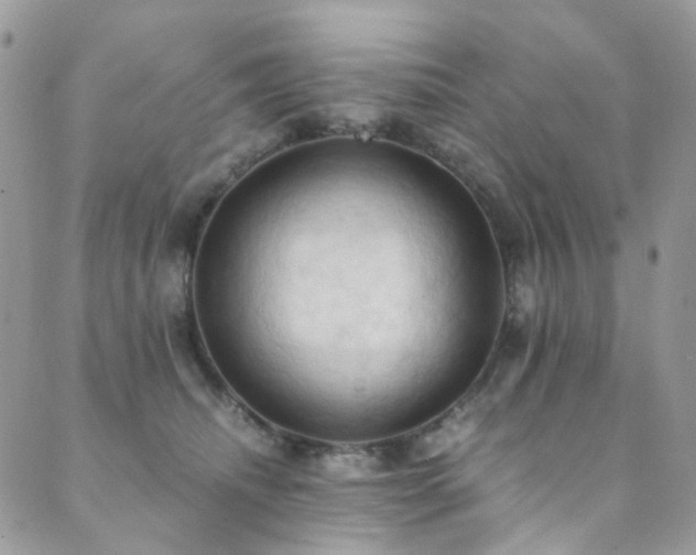 X0000089690468200706211255