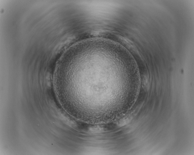 X0000089690470200706211255