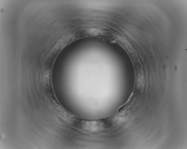 X0000089690473200706211255