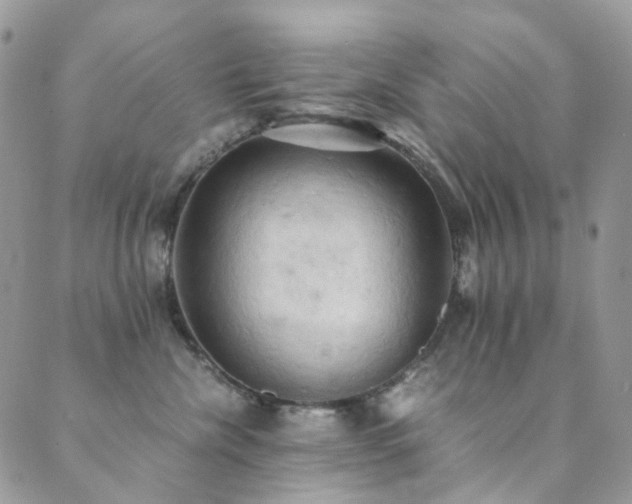 X0000089690476200706211255