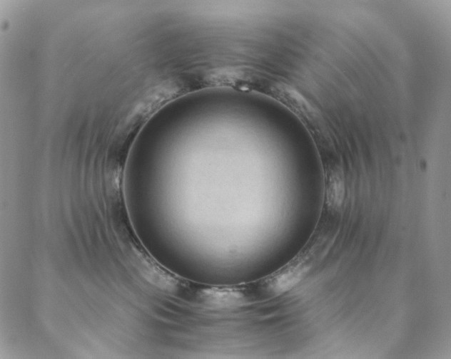 X0000089690477200706211255