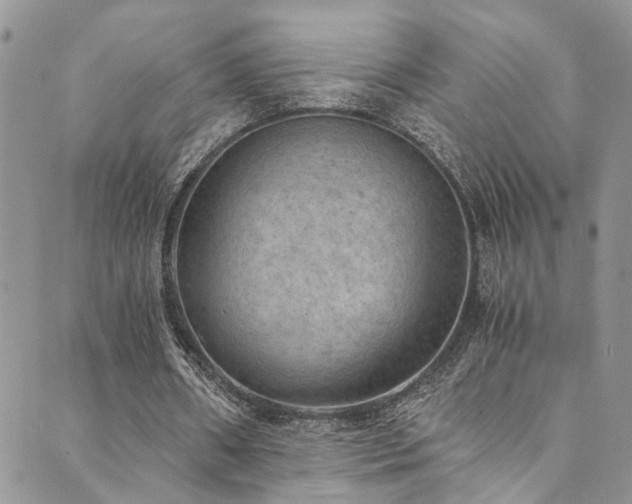 X0000089690482200706211254