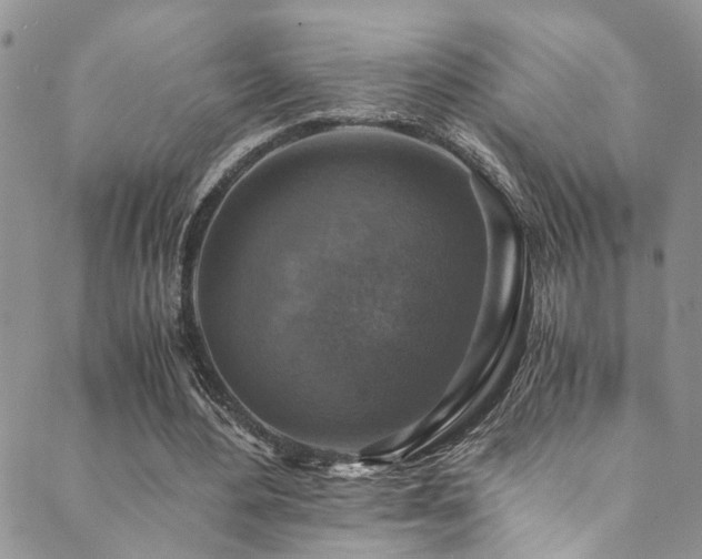 X0000089690484200706211254