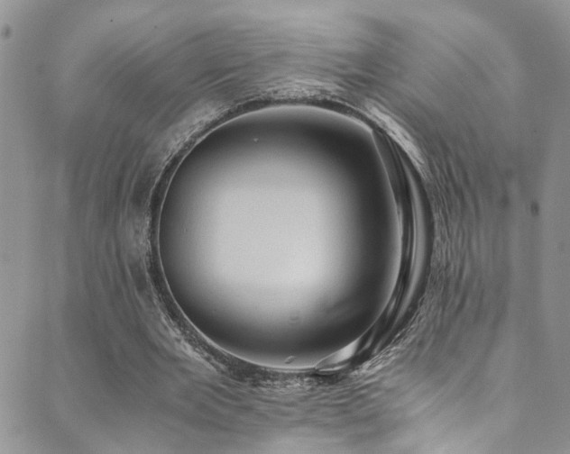 X0000089690485200706211254