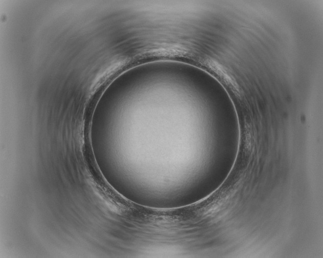 X0000089690486200706211254