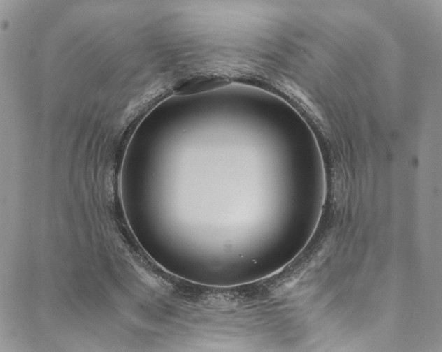 X0000089690489200706211254