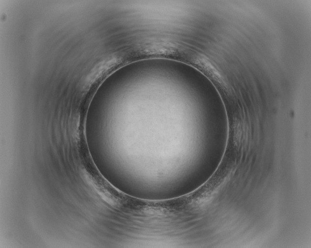 X0000089690490200706211254
