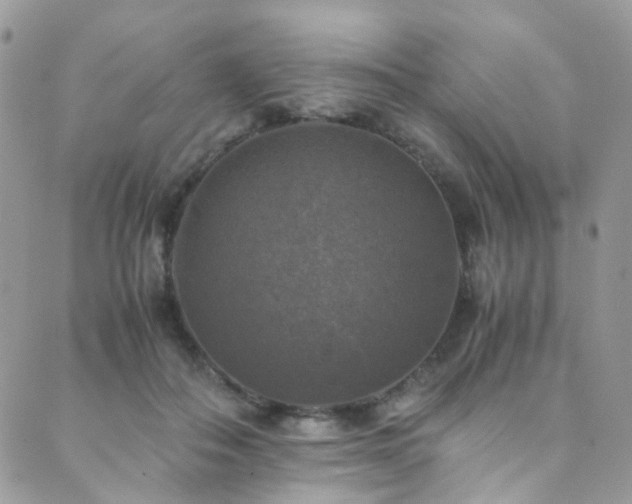 X0000089690506200706211254