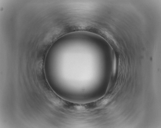 X0000089690509200706211254