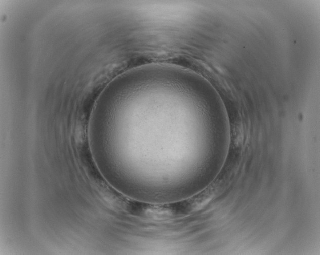 X0000089690515200706211254