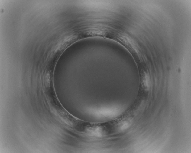 X0000089690551200706211253