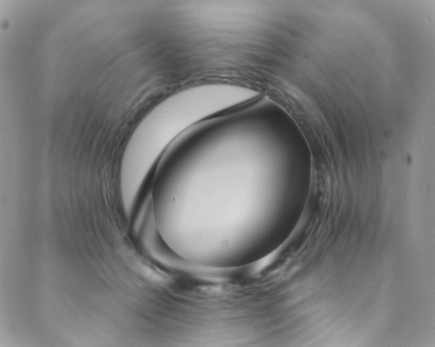 X0000089690558200706211253