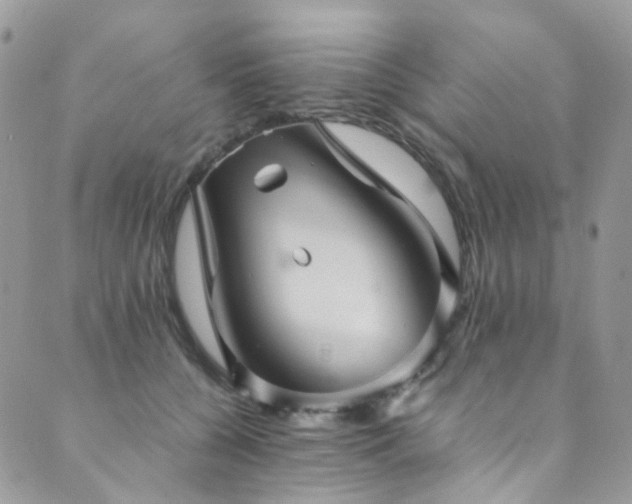 X0000089690560200706211253