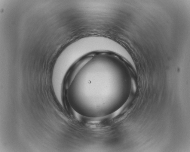 X0000089690564200706211253