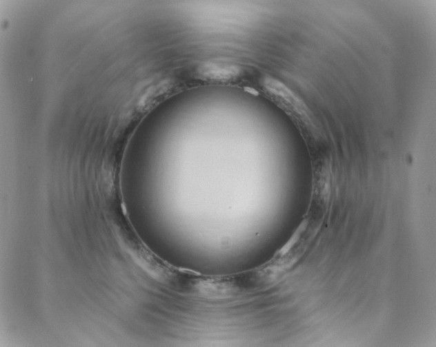 X0000089690568200706211253