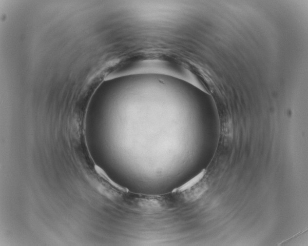 X0000089690572200706211253