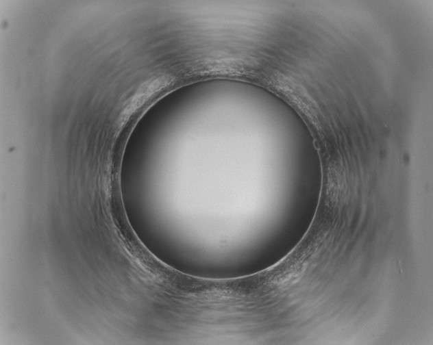 X0000089690578200706211253