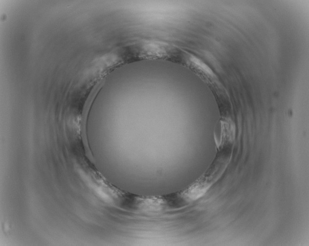 X0000089690621200706211252