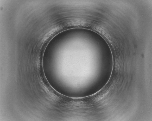 X0000089690629200706211251
