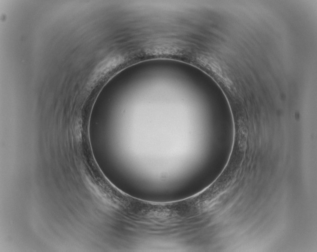 X0000089690631200706211251