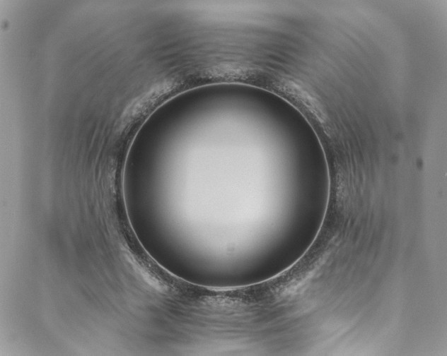 X0000089690633200706211251