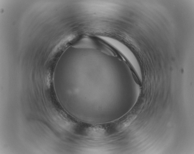 X0000089690644200706211251