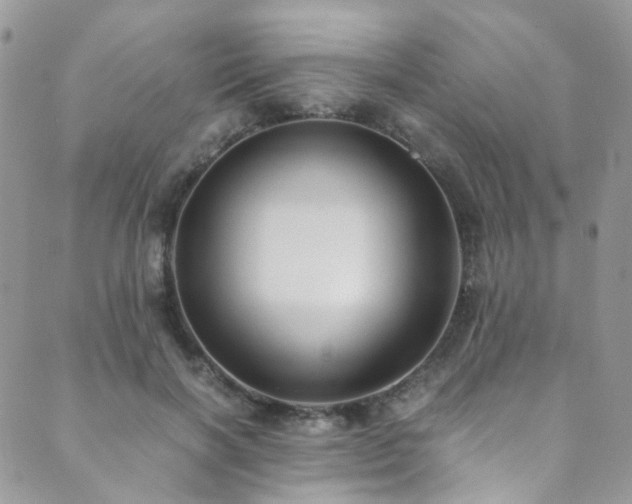X0000089690646200706211251