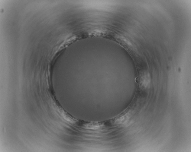X0000089690661200706211251