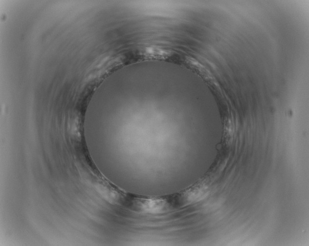 X0000089690663200706211252