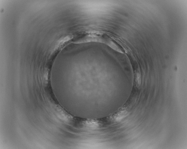 X0000089690668200706211252