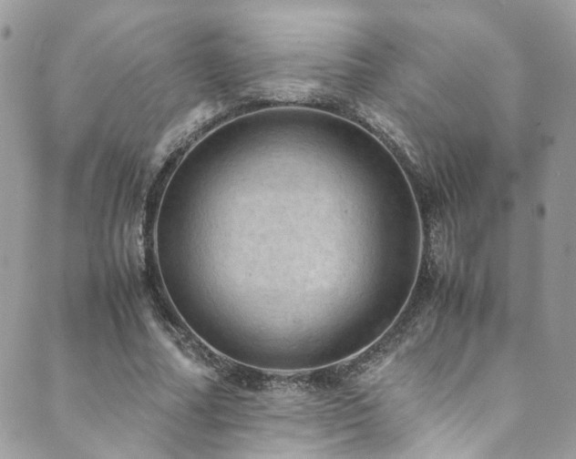 X0000089690682200706211251