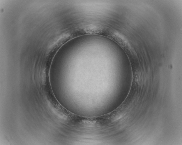 X0000089690690200706211251