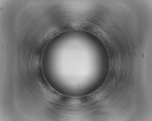 X0000089690702200706211250