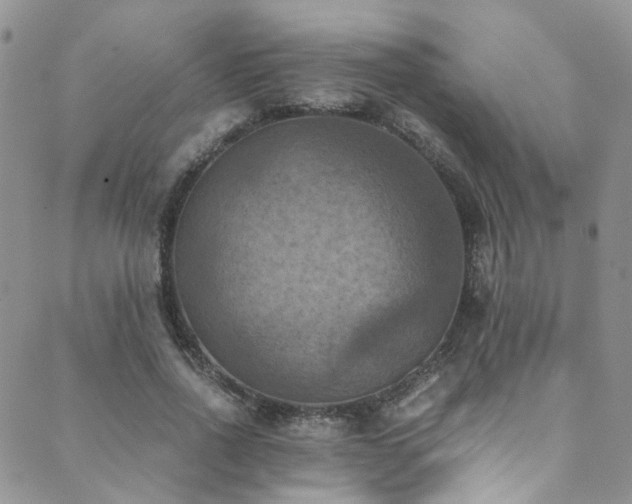 X0000089690734200706211250