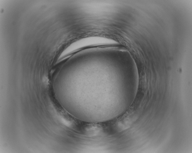 X0000089690750200706211250