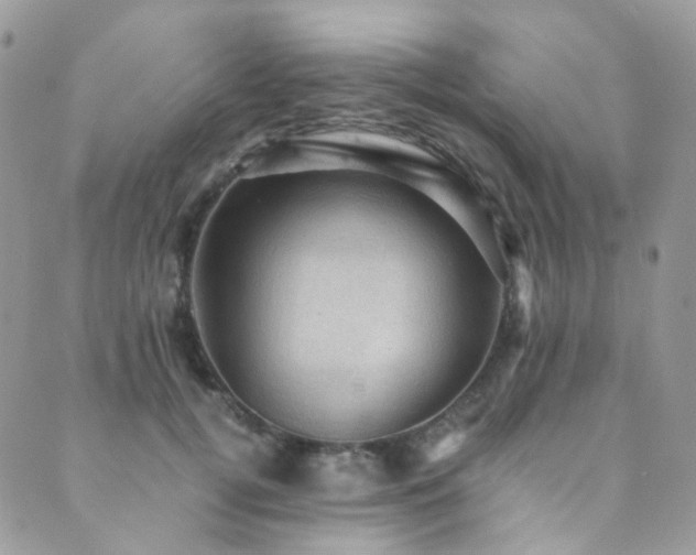 X0000089690752200706211250