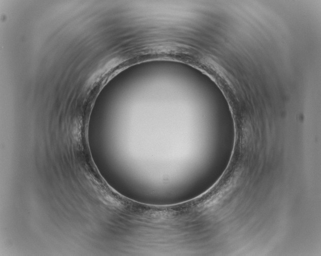 X0000089690778200706211249