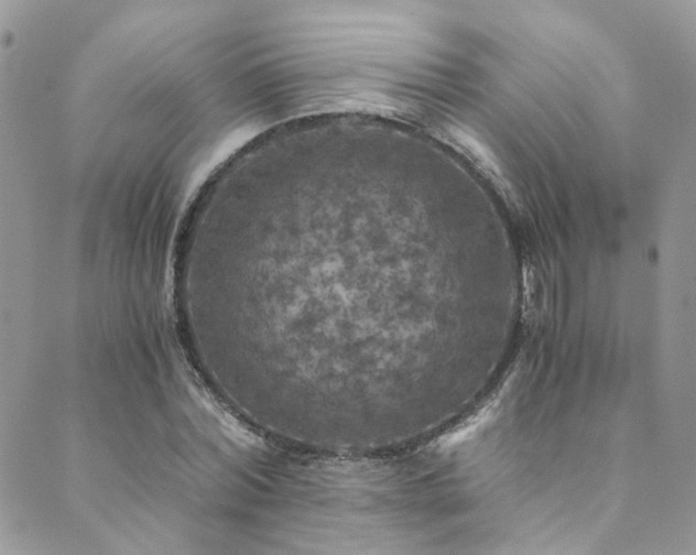 X0000089690780200706211249