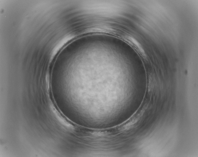 X0000089690796200706211249