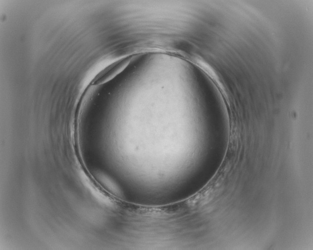 X0000089690811200706211249