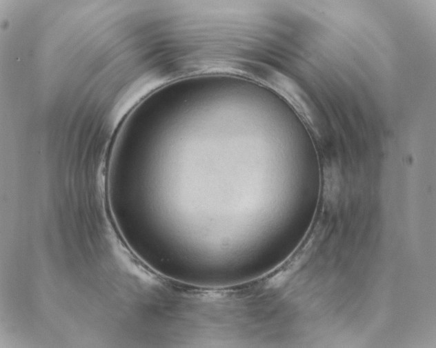 X0000089690814200706211249