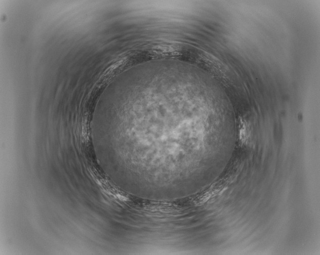 X0000089690819200706211248