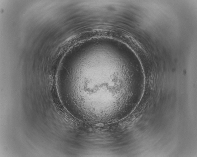 X0000089690821200706211248