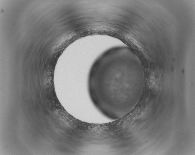 X0000089690824200706211248