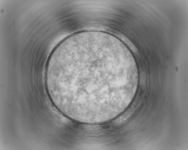 X0000089690856200706211248