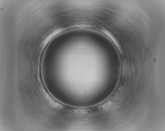 X0000089690861200706211248