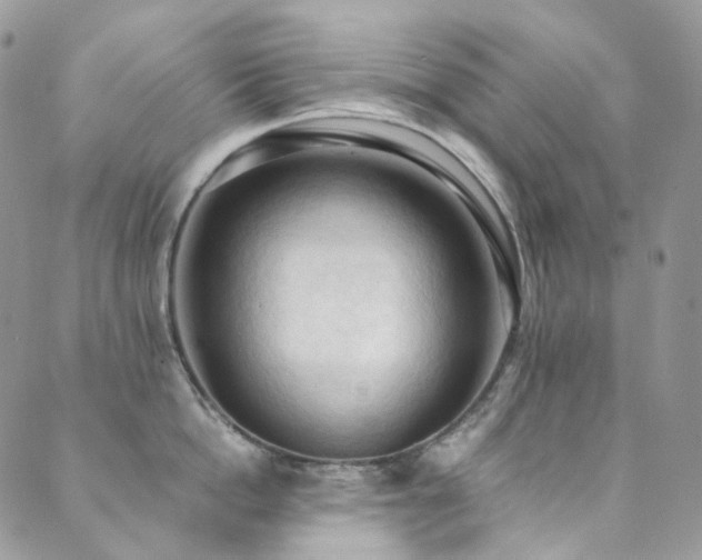 X0000089690862200706211248