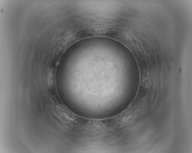 X0000089690866200706211248