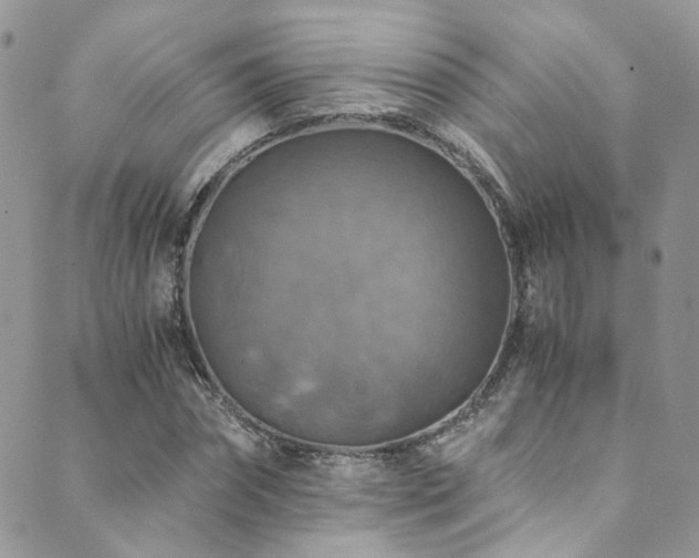 X0000089690874200706211248