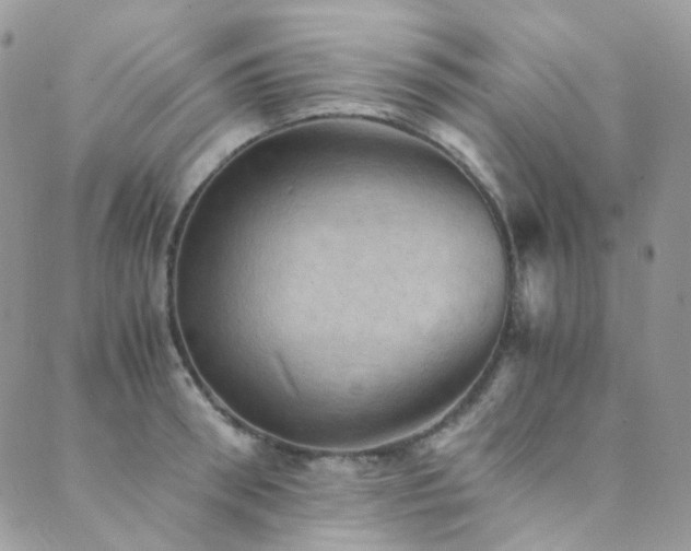 X0000089690898200706211247